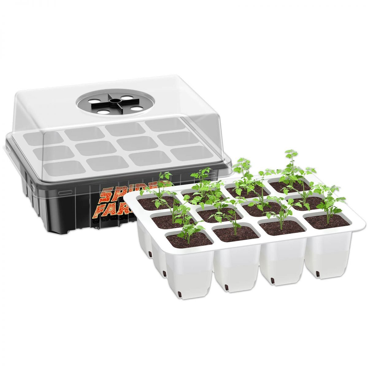 indoor garden seed tray