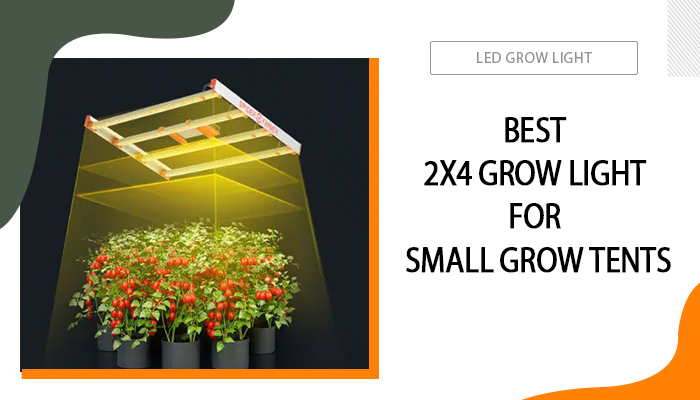 Best 2x4 Grow Light for Small Grow Tents