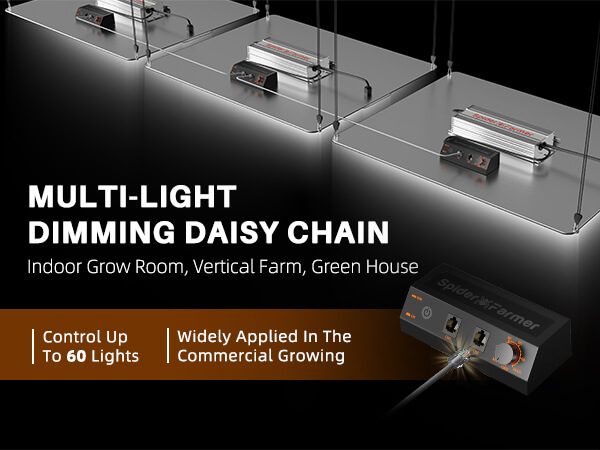 SF4000 samsung lm301H evo light-daisy chain-01